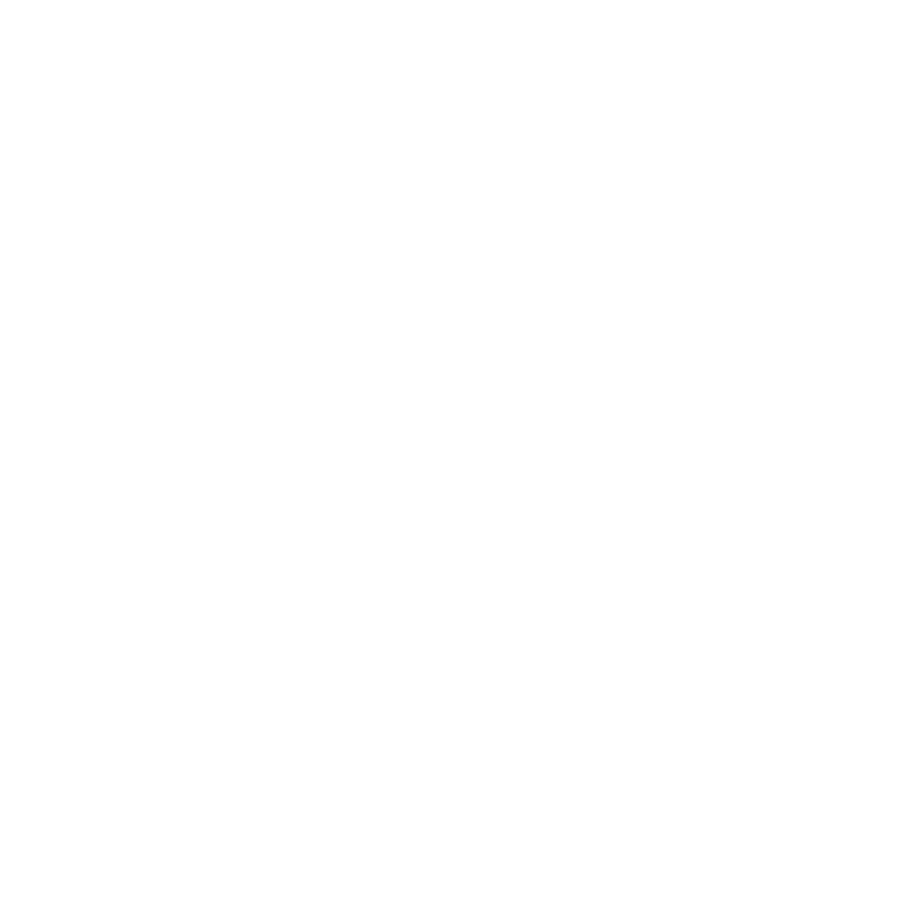 Flare Fitness logo