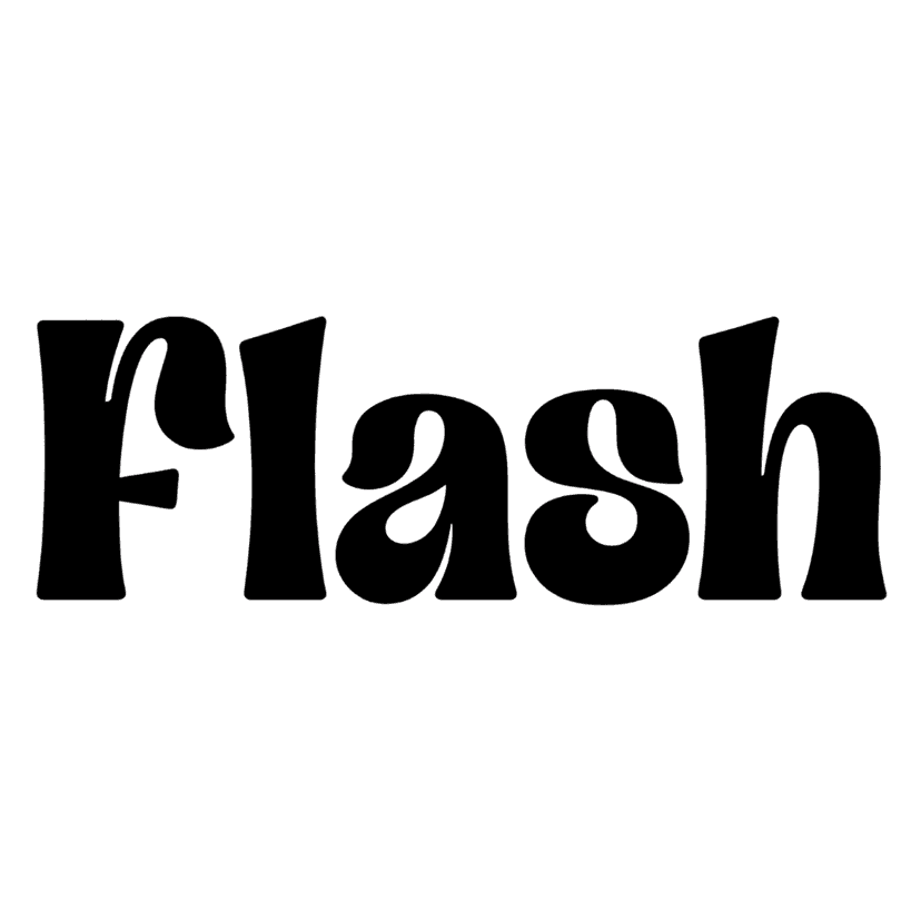 Flash logo